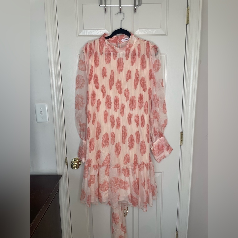 Sante Grace Pink Floral Sheer Pleated Ruffle Mini Dress Size 4X